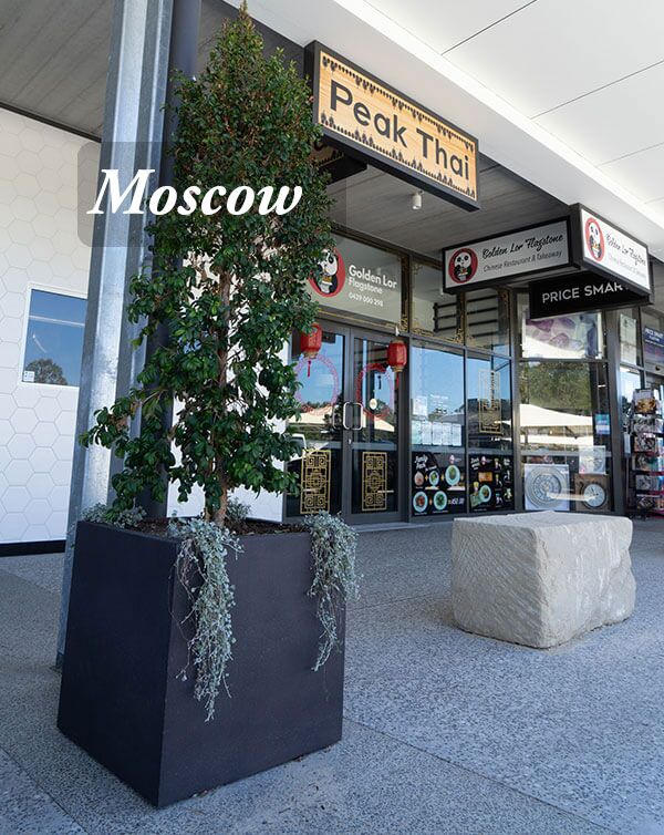 Square and Cube Planters - Image 14
