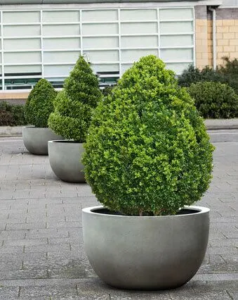Florence Low Round Lightweight Concrete Planters - Image 2