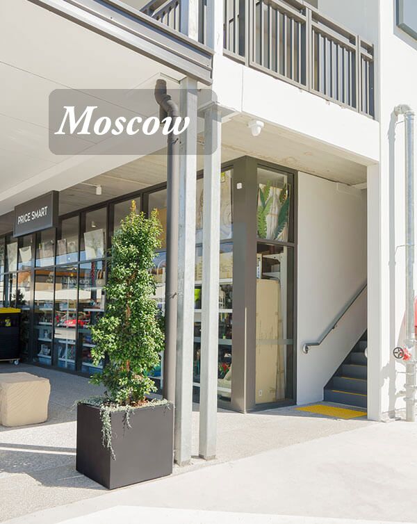 Square and Cube Planters - Image 13