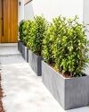 MilanoTrough1500LillyPilly