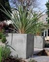 Milano-cube-plant
