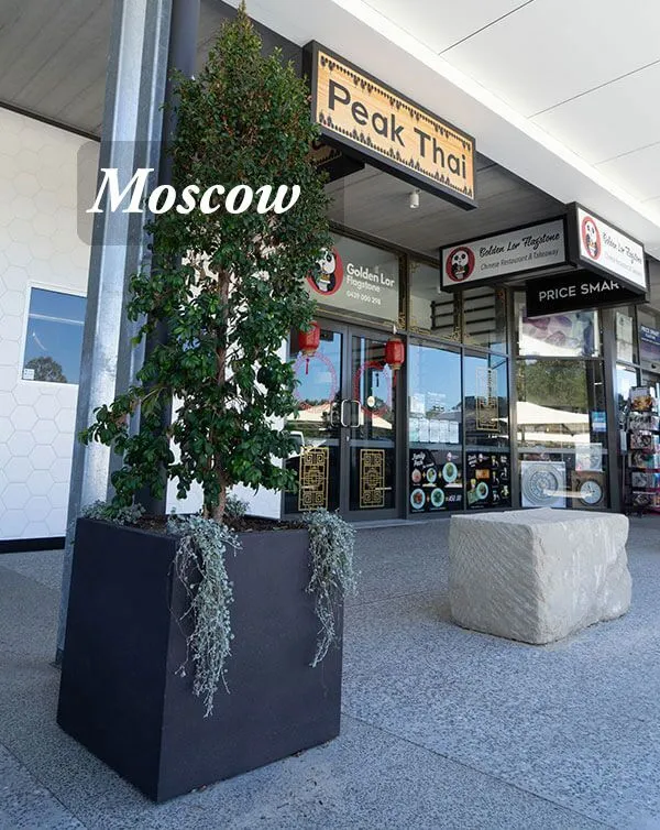 Square and Cube Planters - Image 14