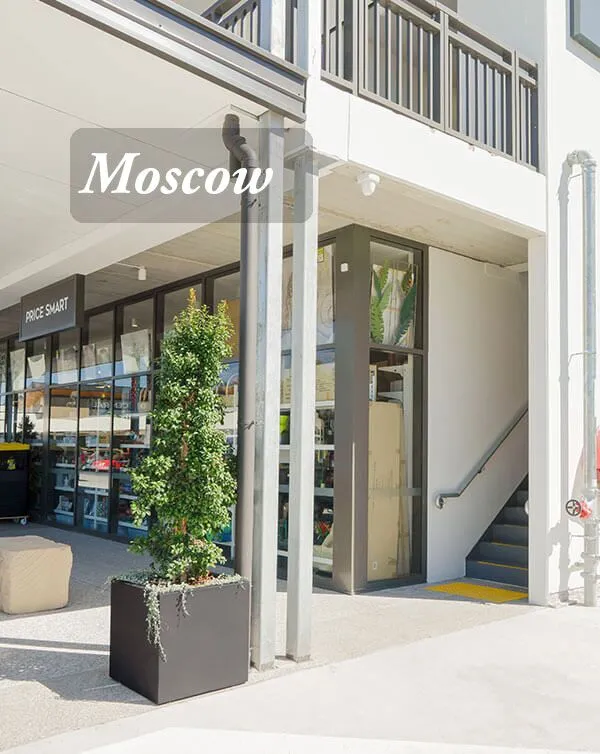 Square and Cube Planters - Image 13