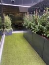 office-courtyard-manhattan-tall-troughs
