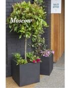 Square and Cube Planters - Image 11