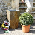 Start a Container Garden: How to Plant Garden Pots