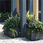 Streetscaping in Granite by IOTA Australia