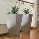 Interior Landscaping