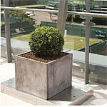 Old-World Italy in IOTA’s Venice Concrete Planters