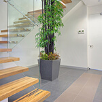 Condev Corporate Office, Robina – Granite Stone Pots