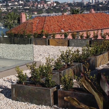 Sydney-rooftop-landscaping