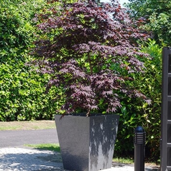 Burwood-Park-granite-taper