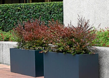 Leading the Way: Using Planters to Create a Walkway