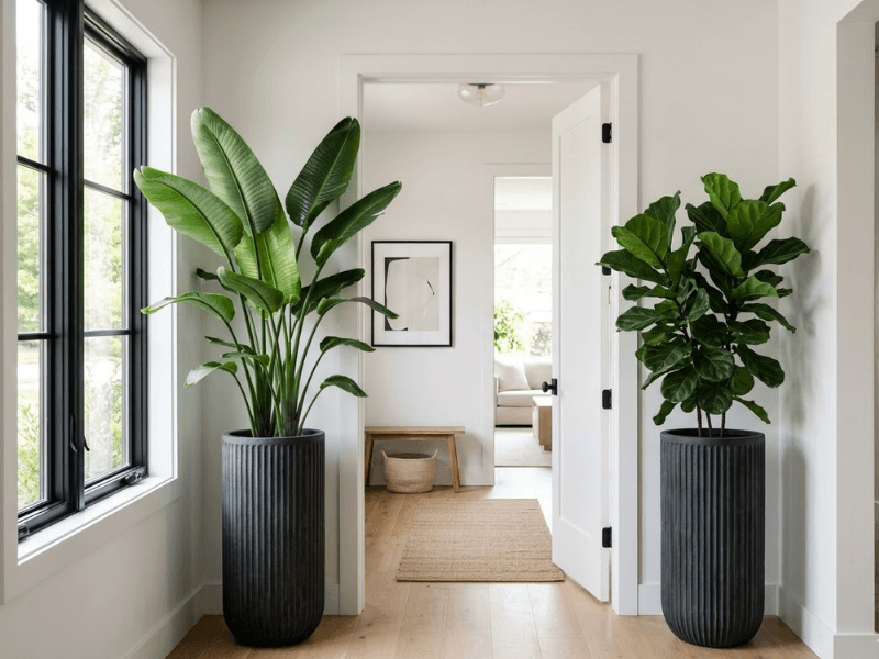 10 Modern Tips and Ideas for Using Planters in Interior Design
