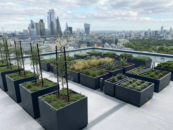 Geometric arrangement of modular planters on a modern rooftop garden.