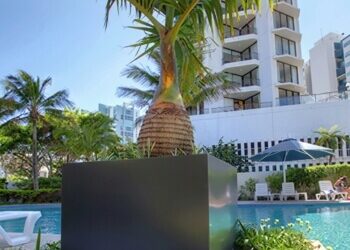 Poolside Planting: Using Planters to Add Ambiance to the Pool Area