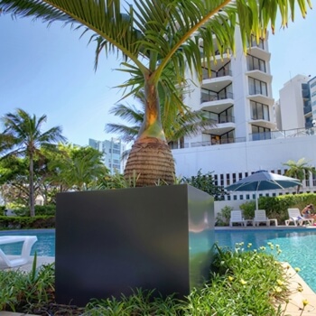 gold-coast-apartment-manhattan-cube-planters-300x300