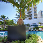 Poolside Planting: Using Planters to Add Ambiance to the Pool Area