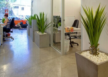 Using Planters to Create the Modern Office