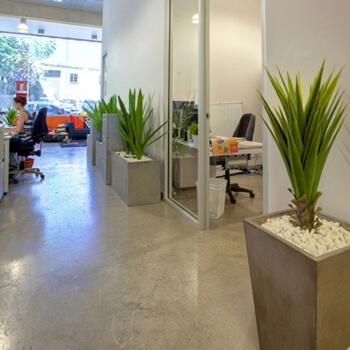 newstead-office-venice-planters