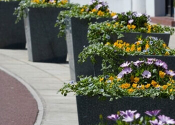 How to Make Your Container Garden Stand Out