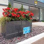 Manchester City Football Club – Custom Granite Planters