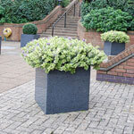 How to Pick the Best Garden Pots for Landscaping