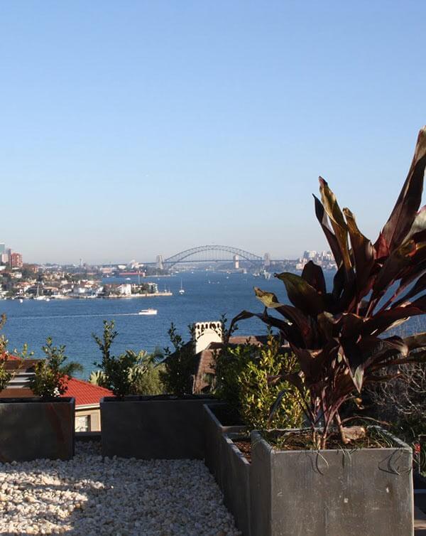 Trough Planters frames the panoramic view of the iconic bridge and opera house