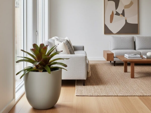 Bromeliad styled in a tall architectural planter in a modern living room.
