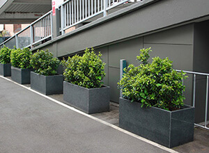 Greening an Urban Jungle with IOTA Granite Planters