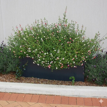 St-John-of-God-Burwood-Hospital-iota-fiberglass-planters