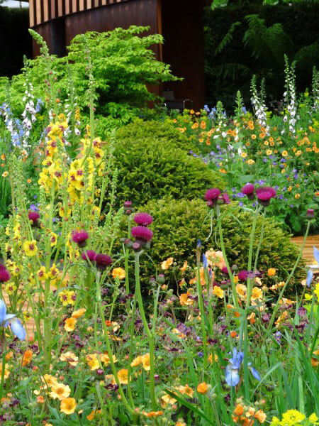 Sentebale-Garden
