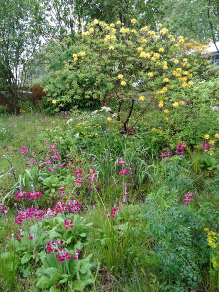 Yummy planting at Chelsea 2015 by Dan Pearson