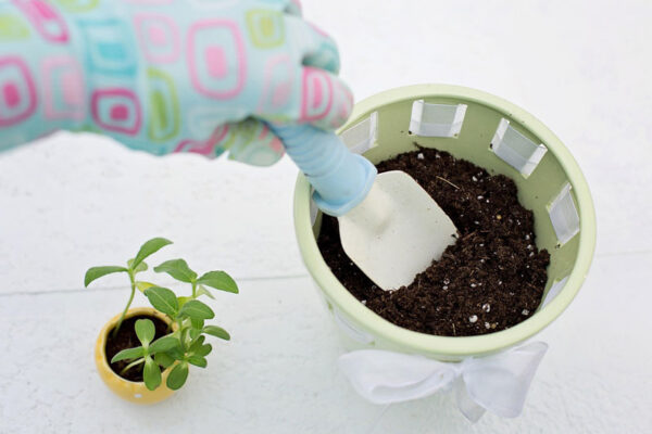 preparing-pot-planter-soil-for-planting