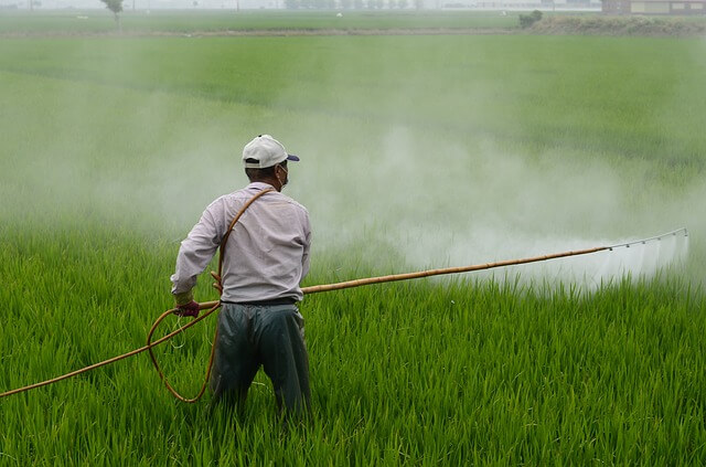avoid-chemicals