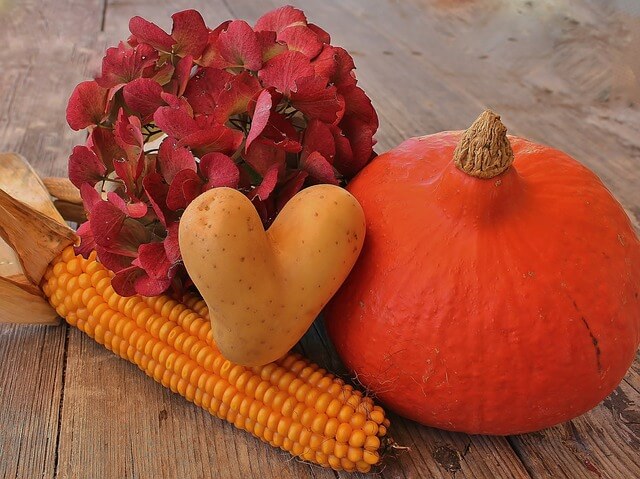 organic-companion-planting