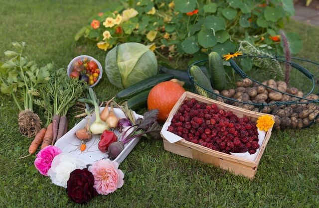 organic-gardening
