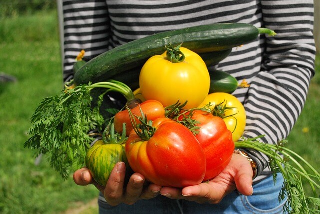 organic-harvesting