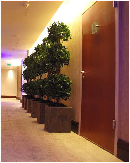 line up planters in interiors