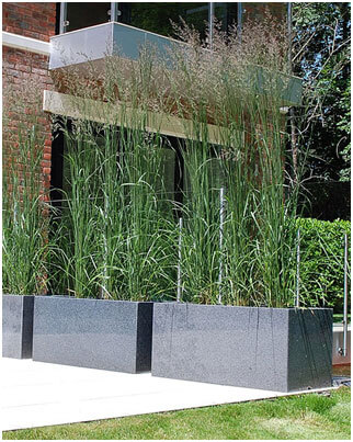 Don’t-Fill-Big-Pots-with-Soil-Where-They-Won’t-Stay