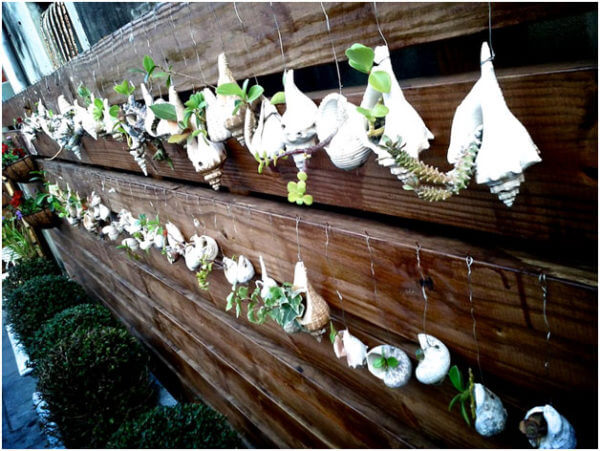 Seashell-Planters