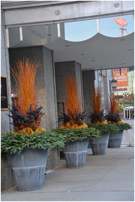 Use-Dried-Twigs-to-Spruce-up-Planters