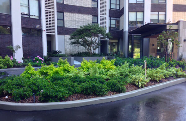 Longwood-Tower_Darling-Point_Garden