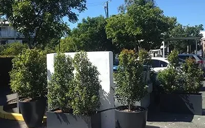 Fiberglass Planters Help Green This Parking Area in Maroochydore