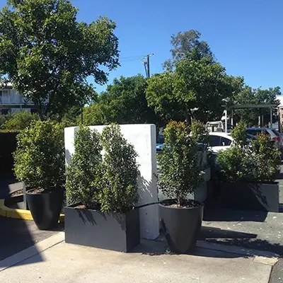 Fiberglass Planters Help Green This Parking Area in Maroochydore