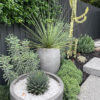 Florence Pots and Planters