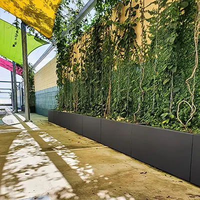 Moscow GRC Planters Help to Green St. Patrick’s College