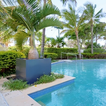gold-coast-apartment-manhattan-cube-planters