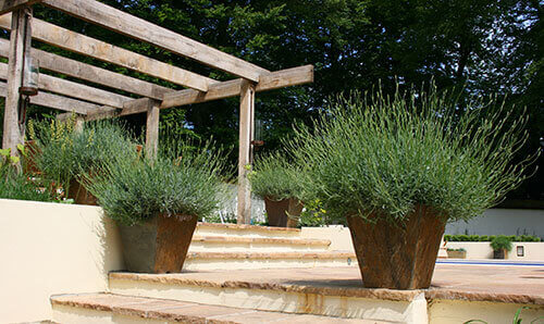 Enhanced Aesthetics and Architectural Accents with planters