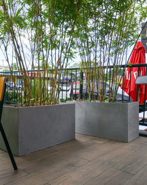 OASJ utilizes Milano Concrete Trough